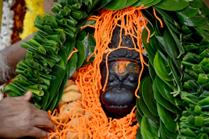 You can generally find betel leaves being offered to Lord Hanuman in all temples. This is due to the   reason that he is very found of Betel leaves. It is considered a form of Lakshmi and hence Betel Leaves   is used to worship Lord Hanuman
